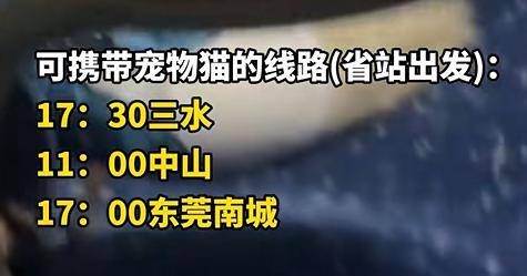 广州 宠物托运_托运宠物广州到哈尔滨_广州托运公司托运宠物