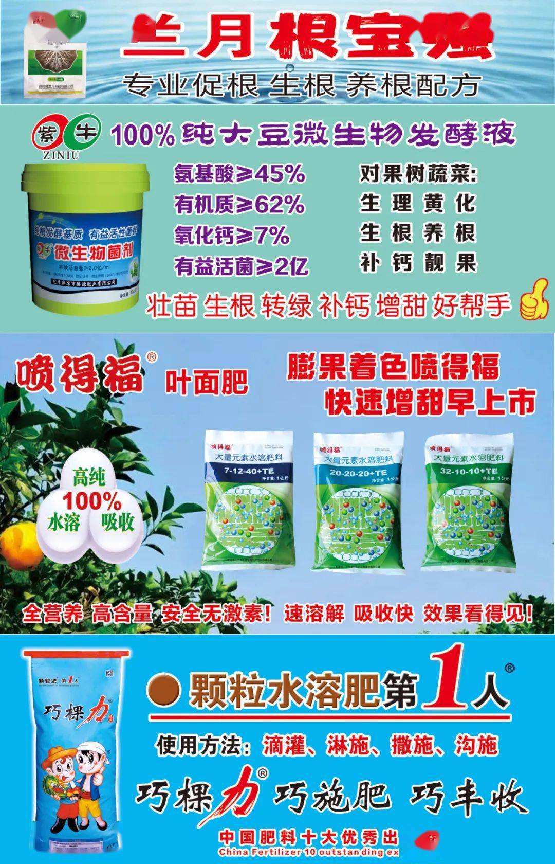 已有600万亩柑橘园遭受侵害!
