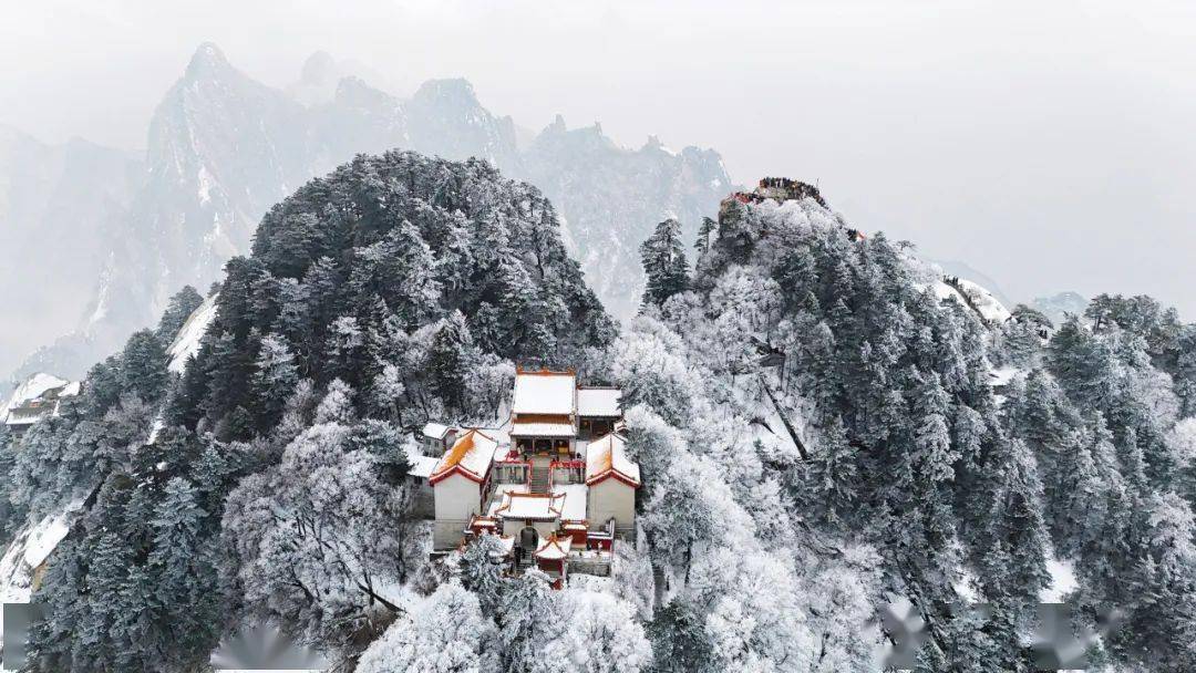 一起来华山撒个欢!_冰雪_雪景_旅游
