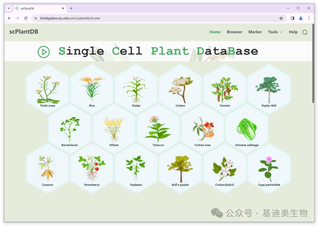 分享一个好用的植物单细胞数据库_搜狐网, image size:1080x767
