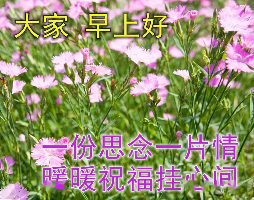 今日最新早上好表情图片大全,天渐寒,心要暖,幸福快乐每一天!