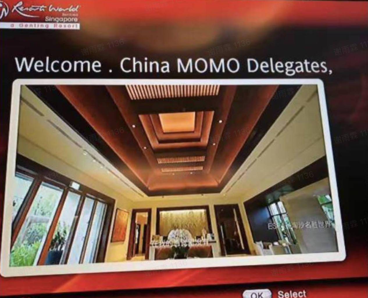 不只环球影城，陌陌还请全员去过新加坡、普吉岛、东京等