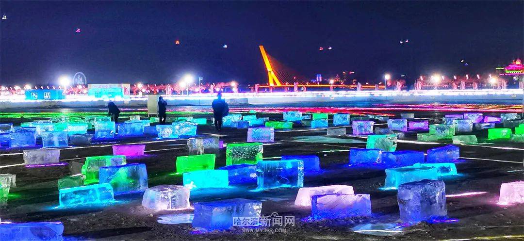 哈尔滨新闻网