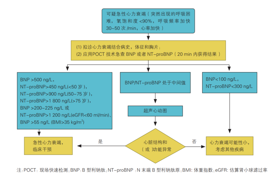 同是心衰標誌物,bnp 與 nt-probnp 區別在哪裡?一表