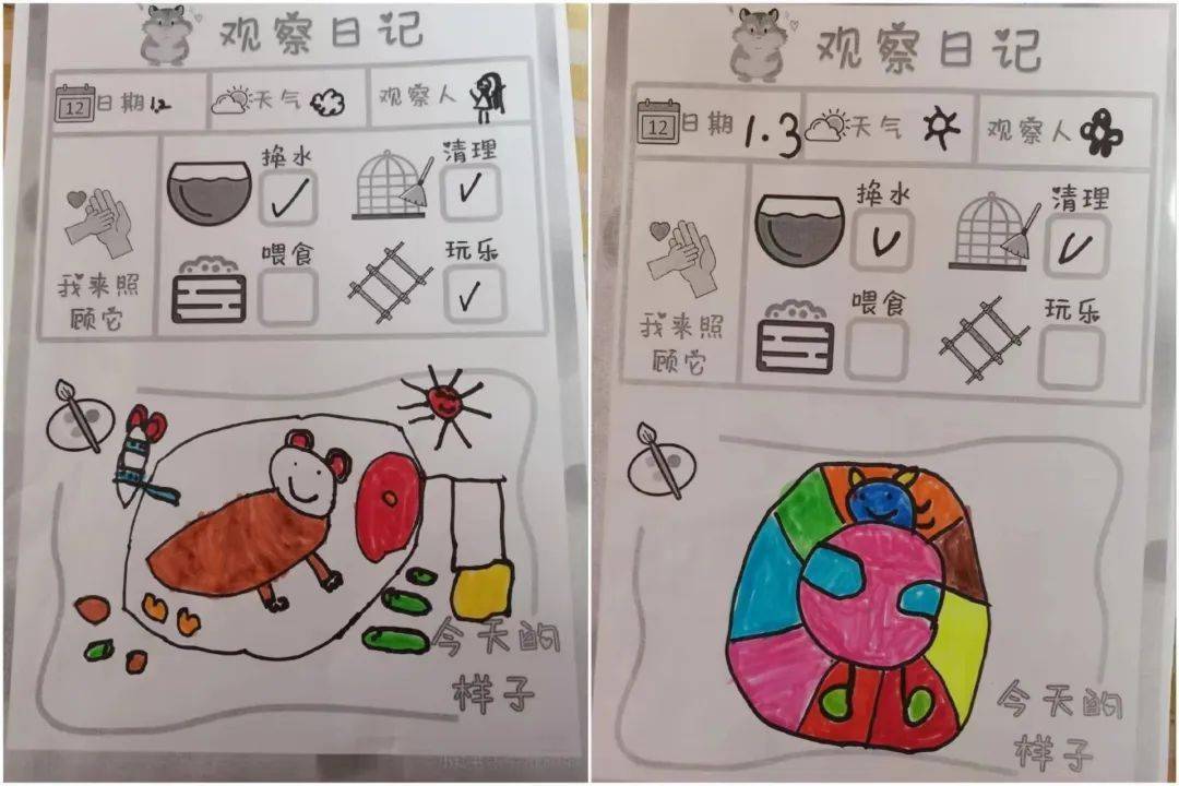 又一个周末到了,孩子们下午看了看自然角的小仓鼠