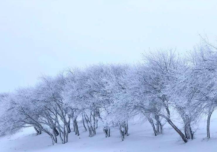 市文旅局局長黃河1月7號……讓我們一起走進冰雪童話的世界吧~welcome