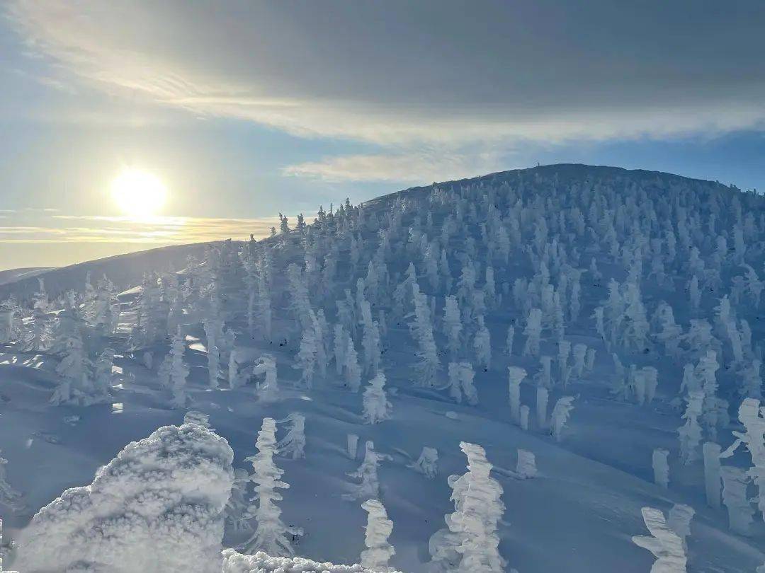 日本冬季絕美雪景最佳推薦_溫泉區_藏王_銀山