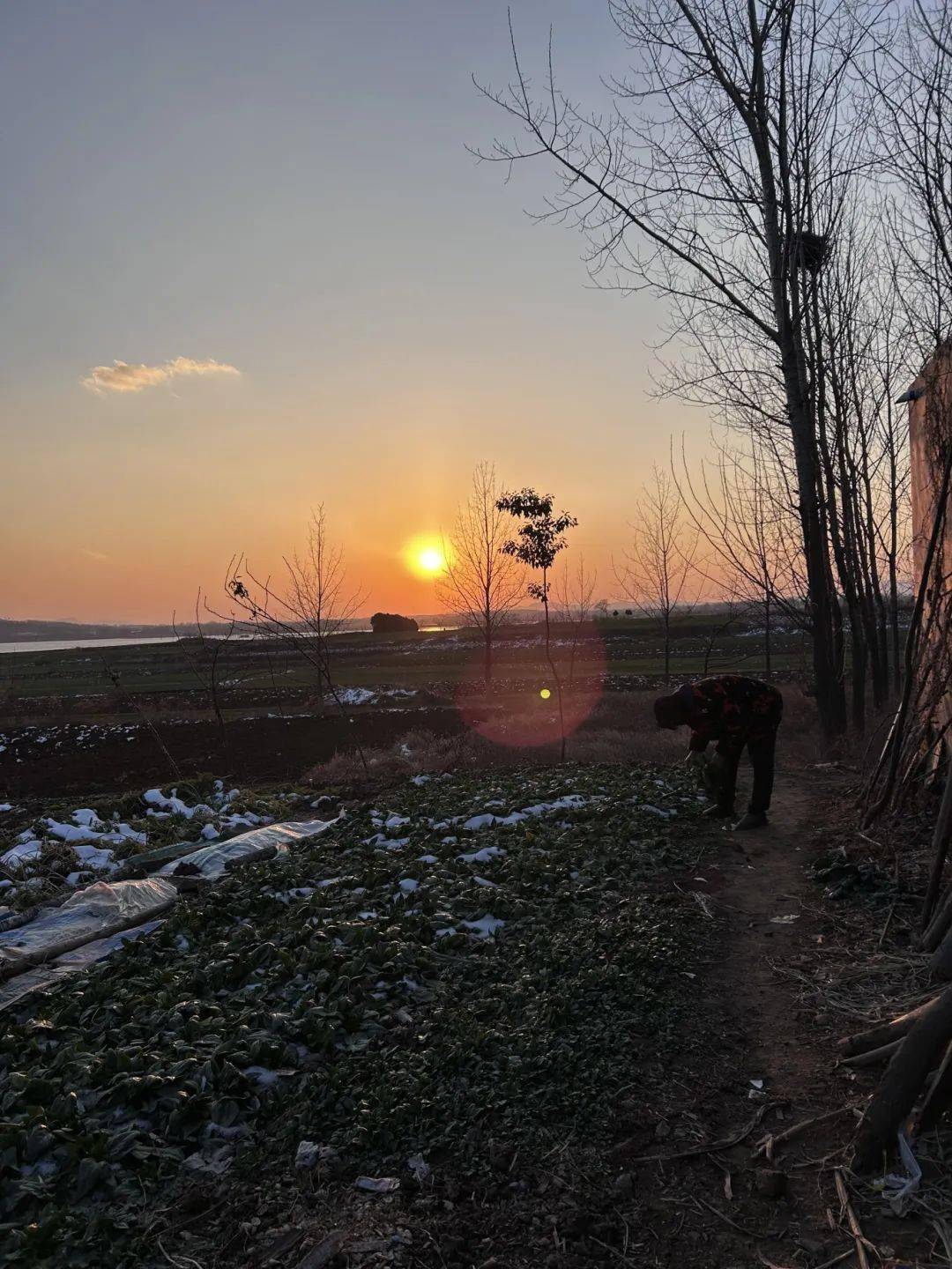 通往幸福的门,在这个寒假被信star人敲响了好多遍!