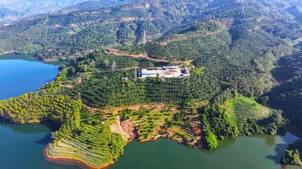 临沧镇康:"三大引擎"为县域经济添翼赋能