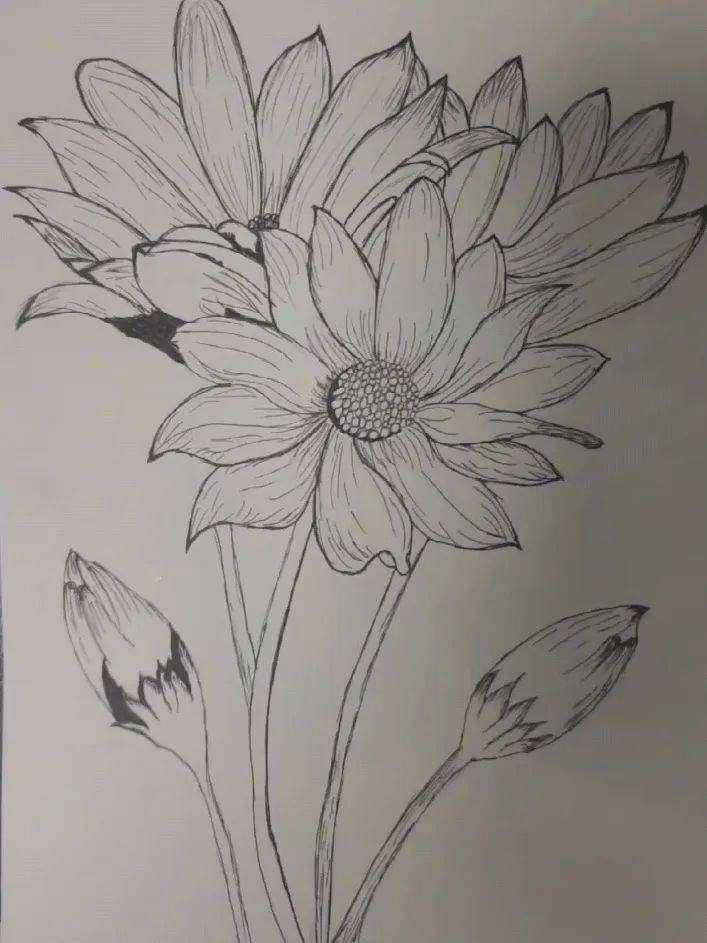 作品展示 | 足下软件学院t503设计班平面构成作品第一弹~_迎新_活动