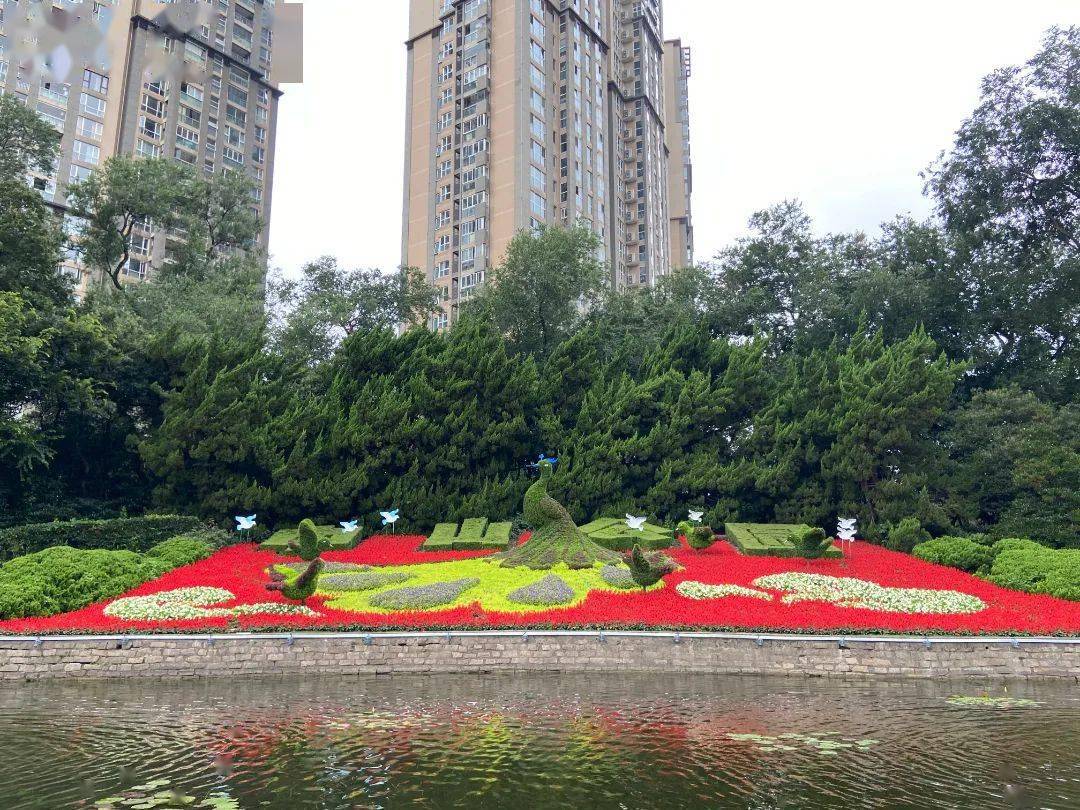 上海市新时代文明实践特色公园——中山公园_活动_管理_市民