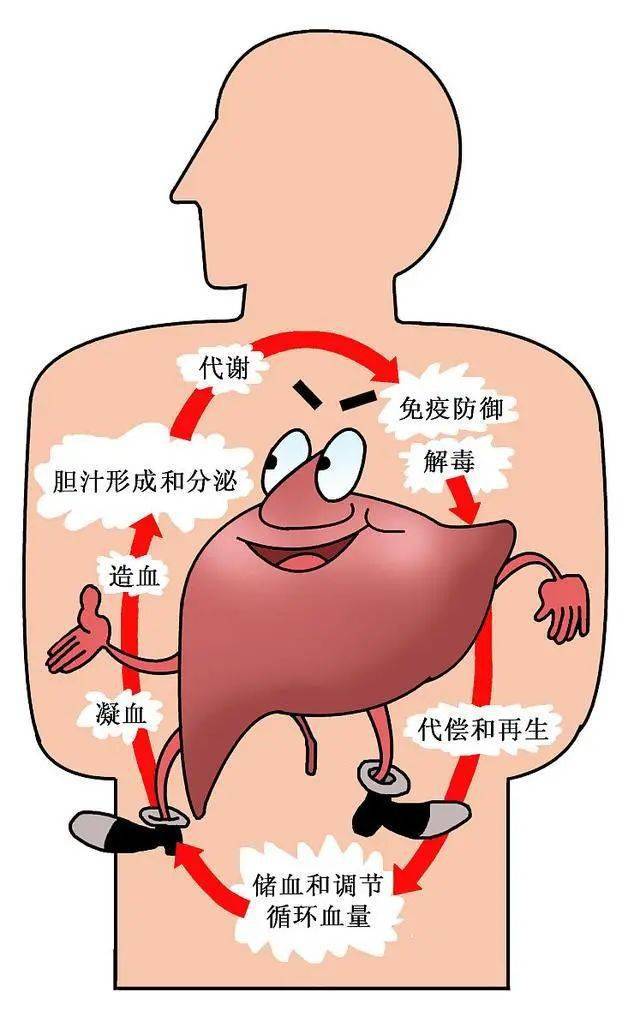 女子频繁染发导致肝硬化!医生提醒,每年别超这个数!