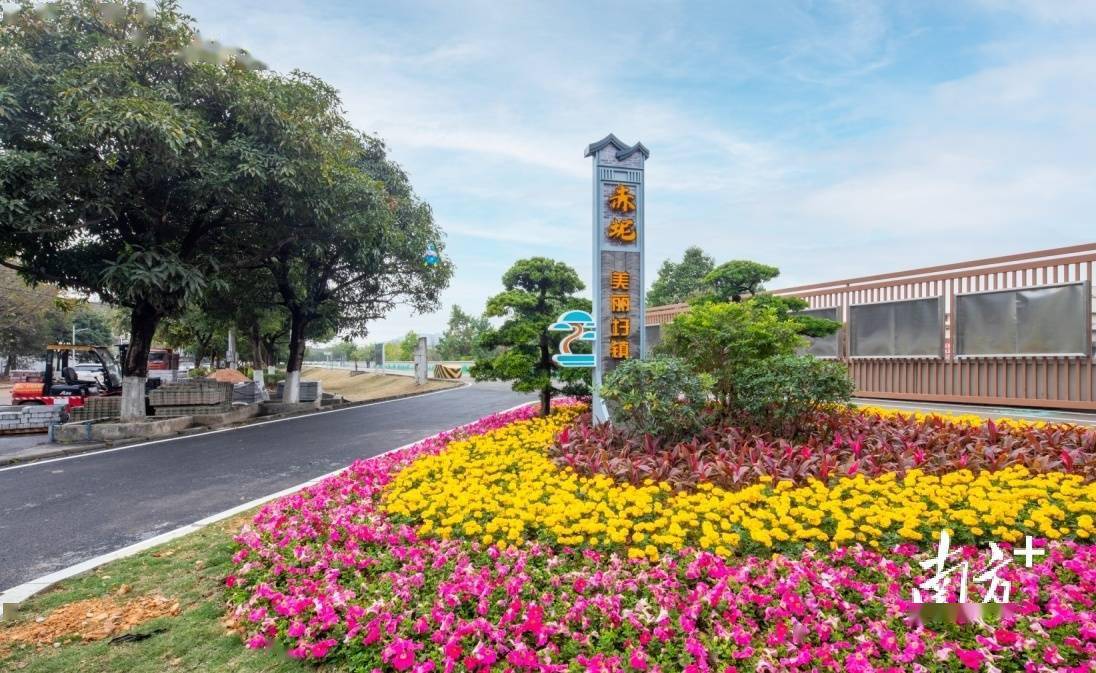 花都赤坭政企联动聚力"百千万工程"_竹洞村_赤坭镇_乡村