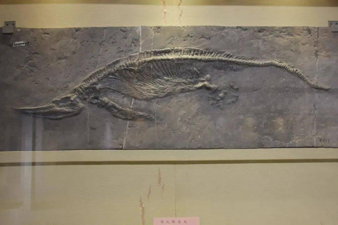 寻城记 | 安顺"地底"到底有多"老"?