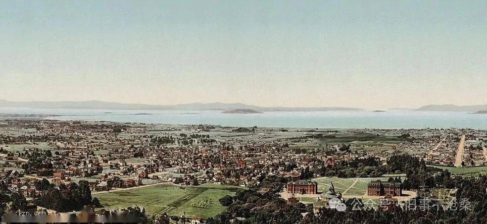 南方:查尔斯顿的阿什利河畔,一个木兰种植园中鲜花绽放,当地一名妇女