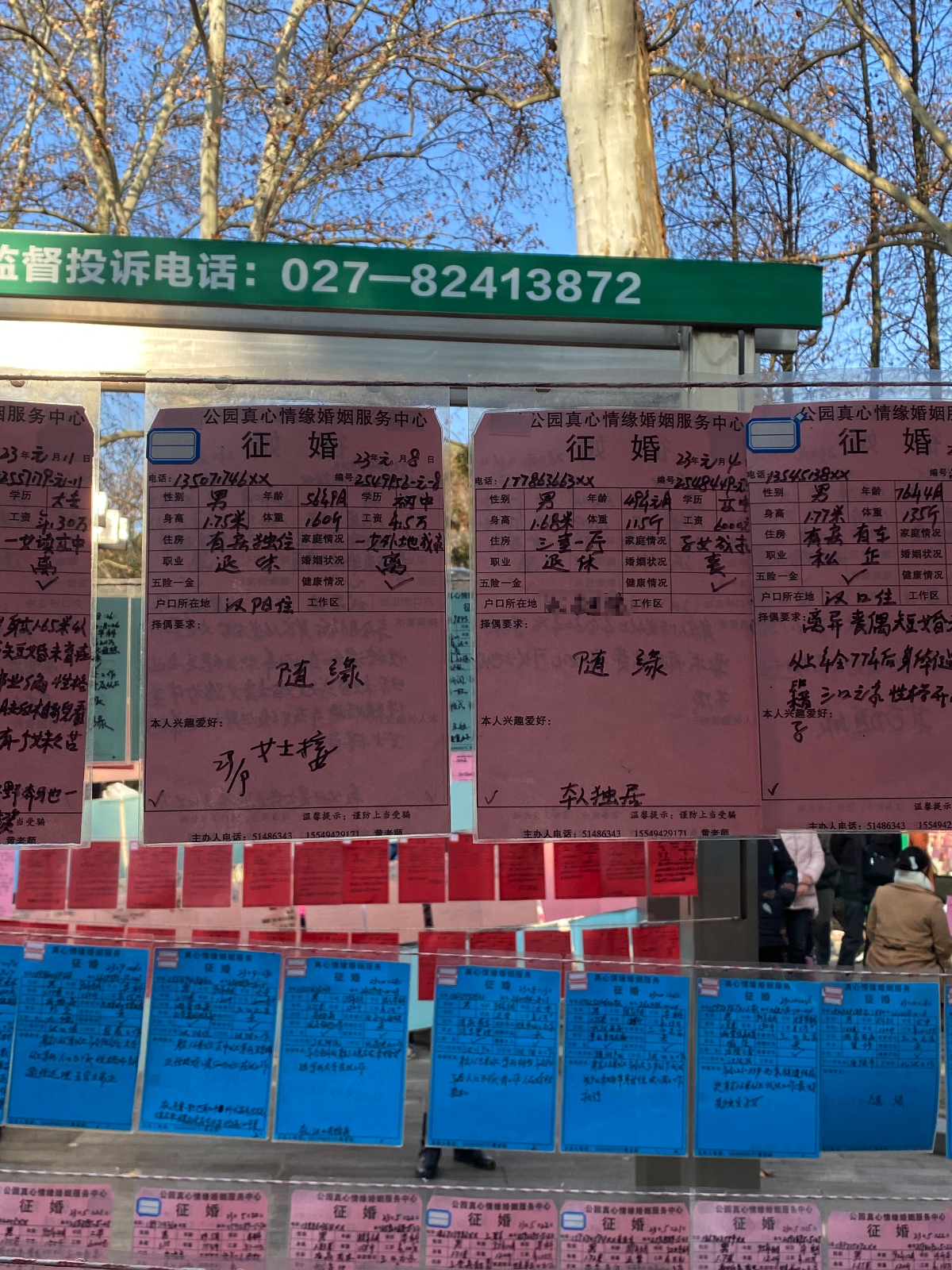 老年人活跃在公园相亲角:有人渴望跟年轻人一样恋爱,有人只求搭伙过