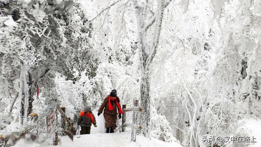 漢中又要下雪了,這6大賞雪拍照地別錯過!_雪鄉_遊客