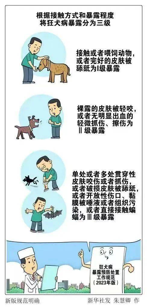 狂犬病携带动物表现图片