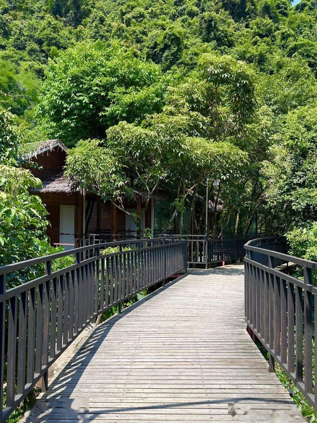第八站:怀集_活动_景区_民族