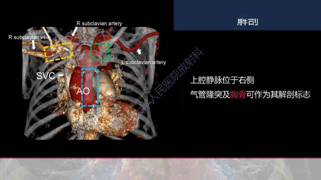 中心靜脈置管影像學評估_流程_關懷_服務