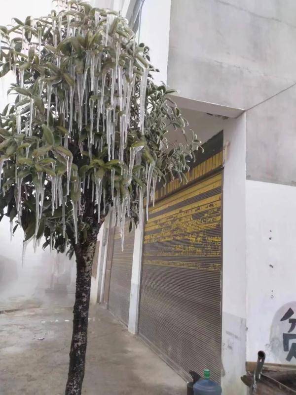 砸地噼啪作响,路面铺白