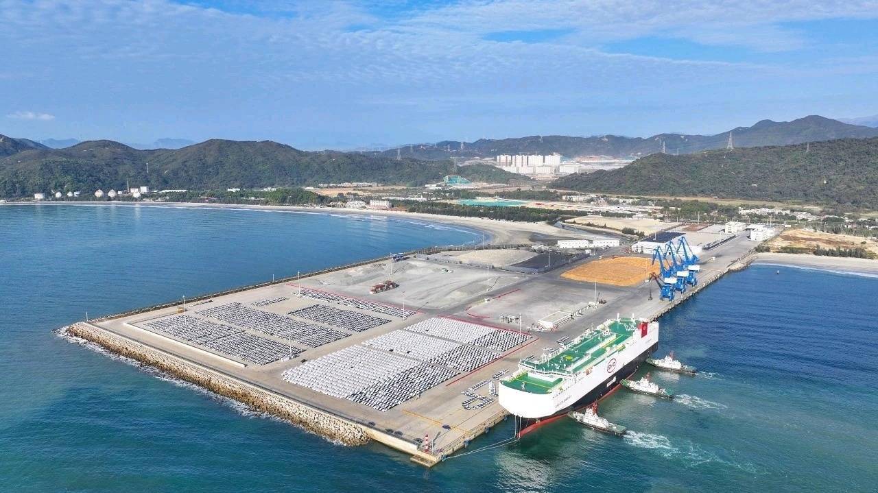 突破100万吨…小漠国际物流港交出亮眼"答卷"|年度盘点