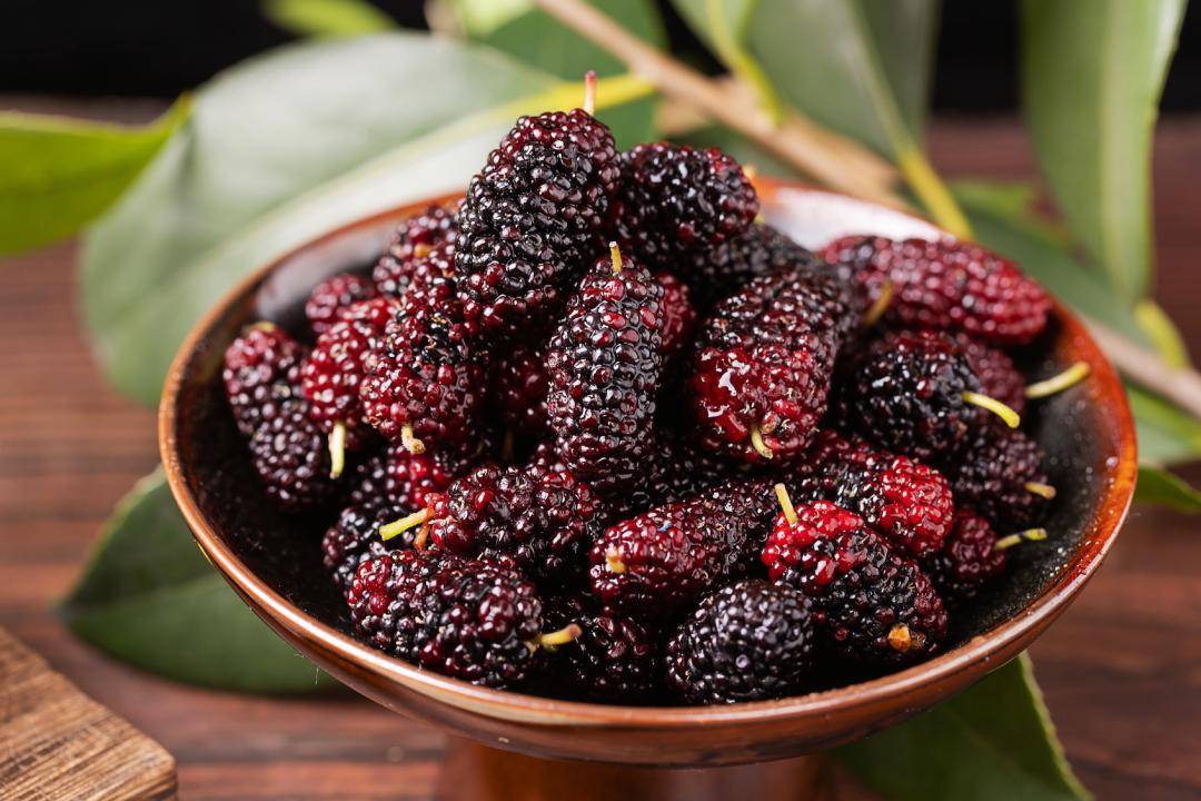 建议:如果不差钱尽量多吃这几样食物,腿脚有劲,营养健康_桑葚子_乌枣_