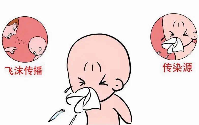 百日咳患者,隐性感染者及带菌者为传染源,主要通过患者排出的飞沫或