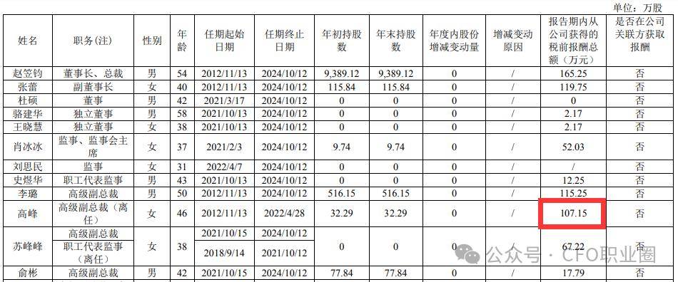 天職國際背景代財務總監被罰