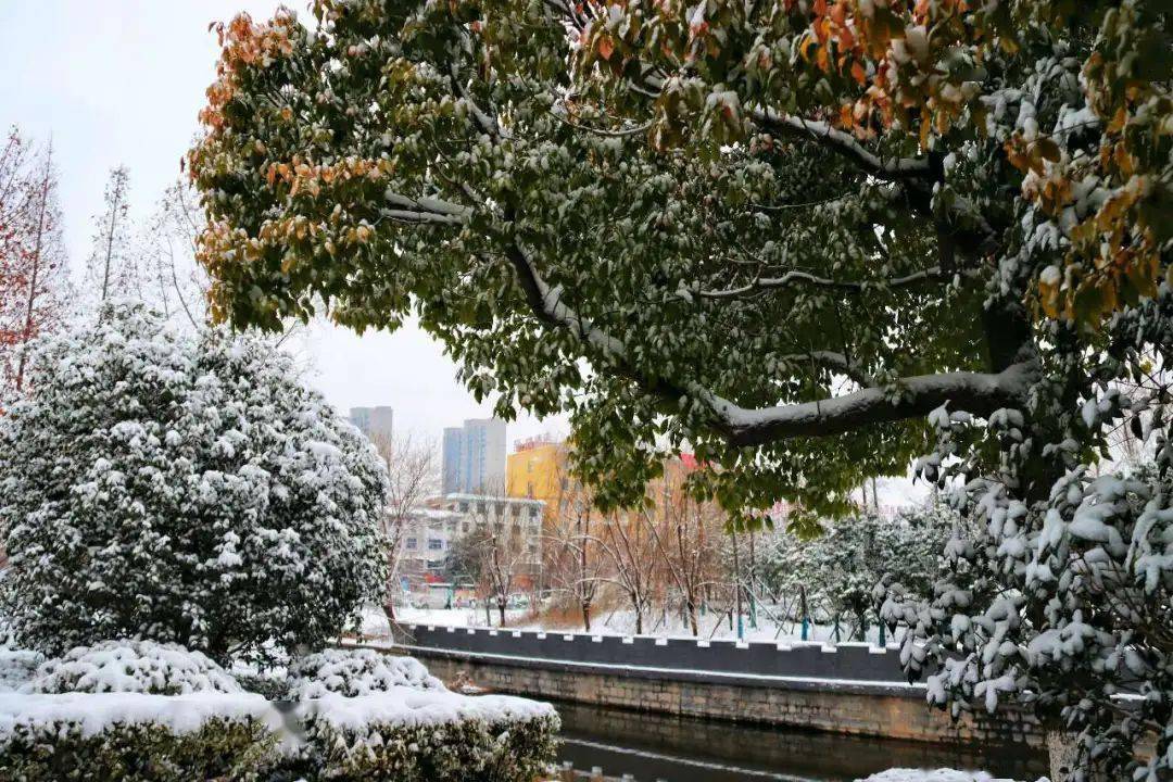 美好泗縣 瑞雪普降泗州城|寒假怎麼過?他們這樣做