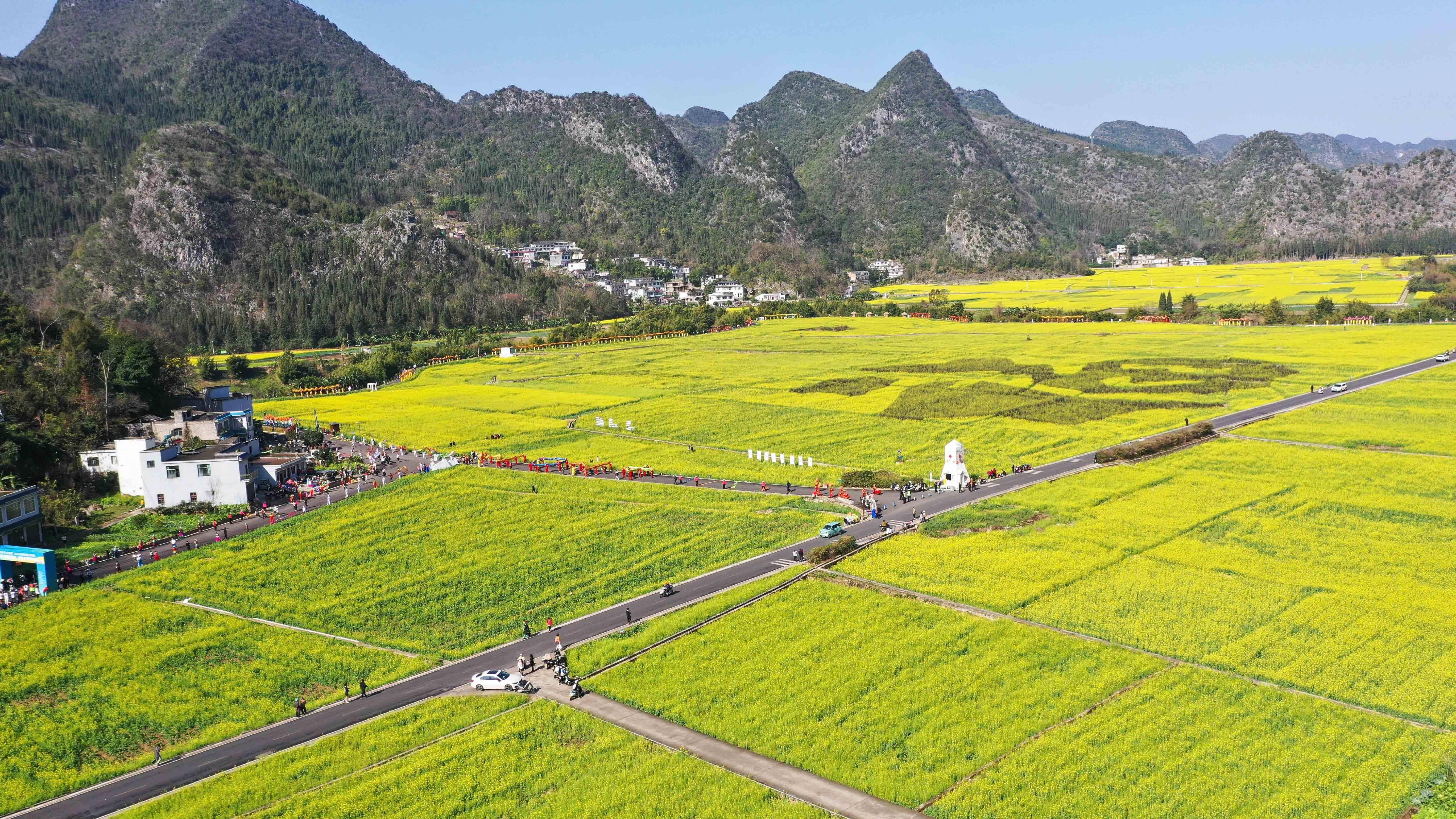 兴义油菜花最佳地点图片