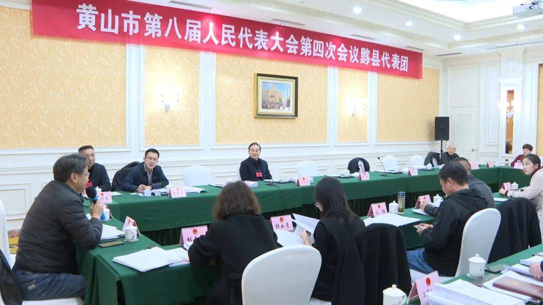 市人大代表分组审议三个报告_黄山市_发展_工作