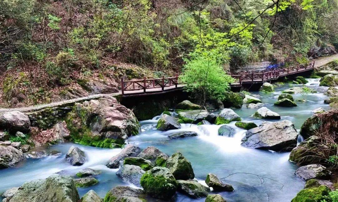 新乡贤游浦江:新乡贤凭"乡贤码"免费游览玩仙华山,江南第一家,神丽峡