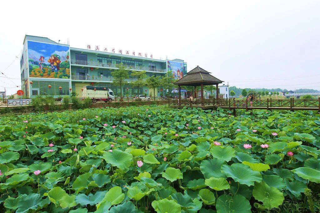 泉港,向全国发出邀请!