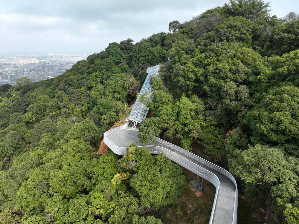 广州白云山摩星岭有免费观光扶梯啦!