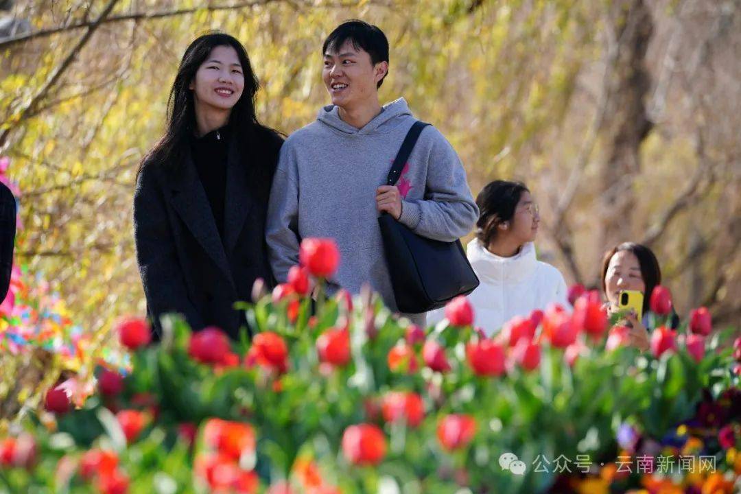 【行摄云南】花都开好了!