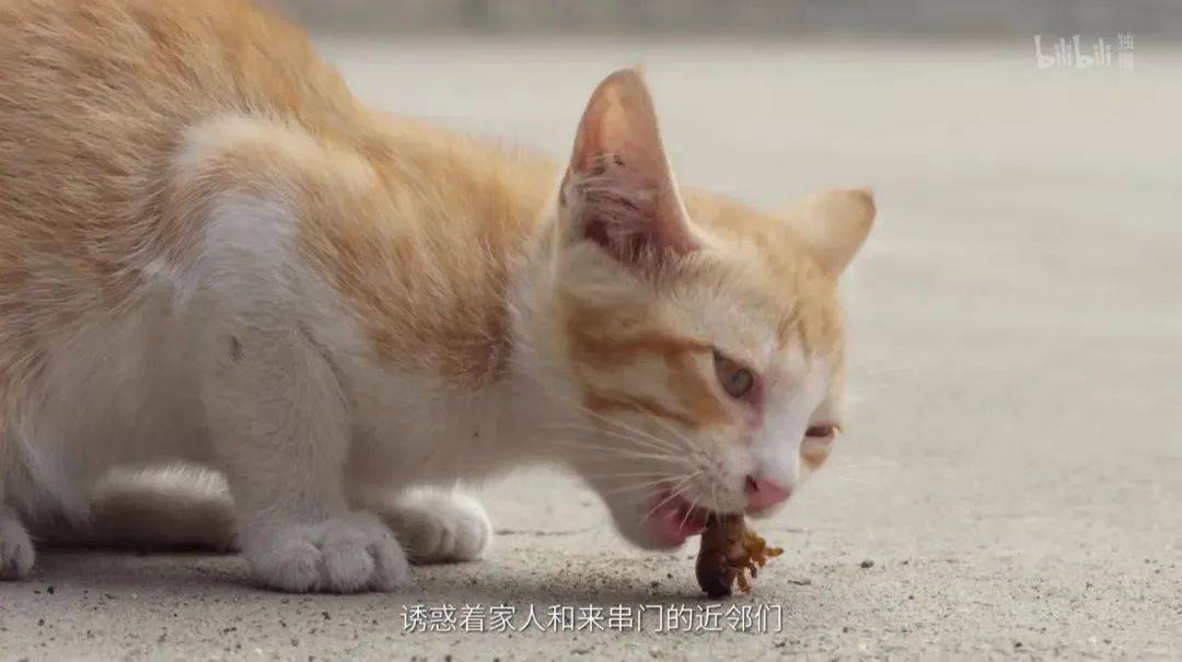 够野!《奇食记2》解锁奇葩美食图鉴