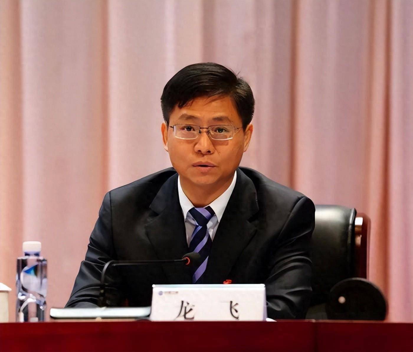 龙飞被查_工作_党中央_中国