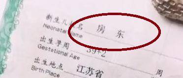 爆款名字_爆款名字排行_爆款名字出炉