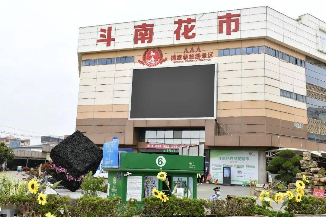2024春节假期,斗南花市不打烊,等您来逛