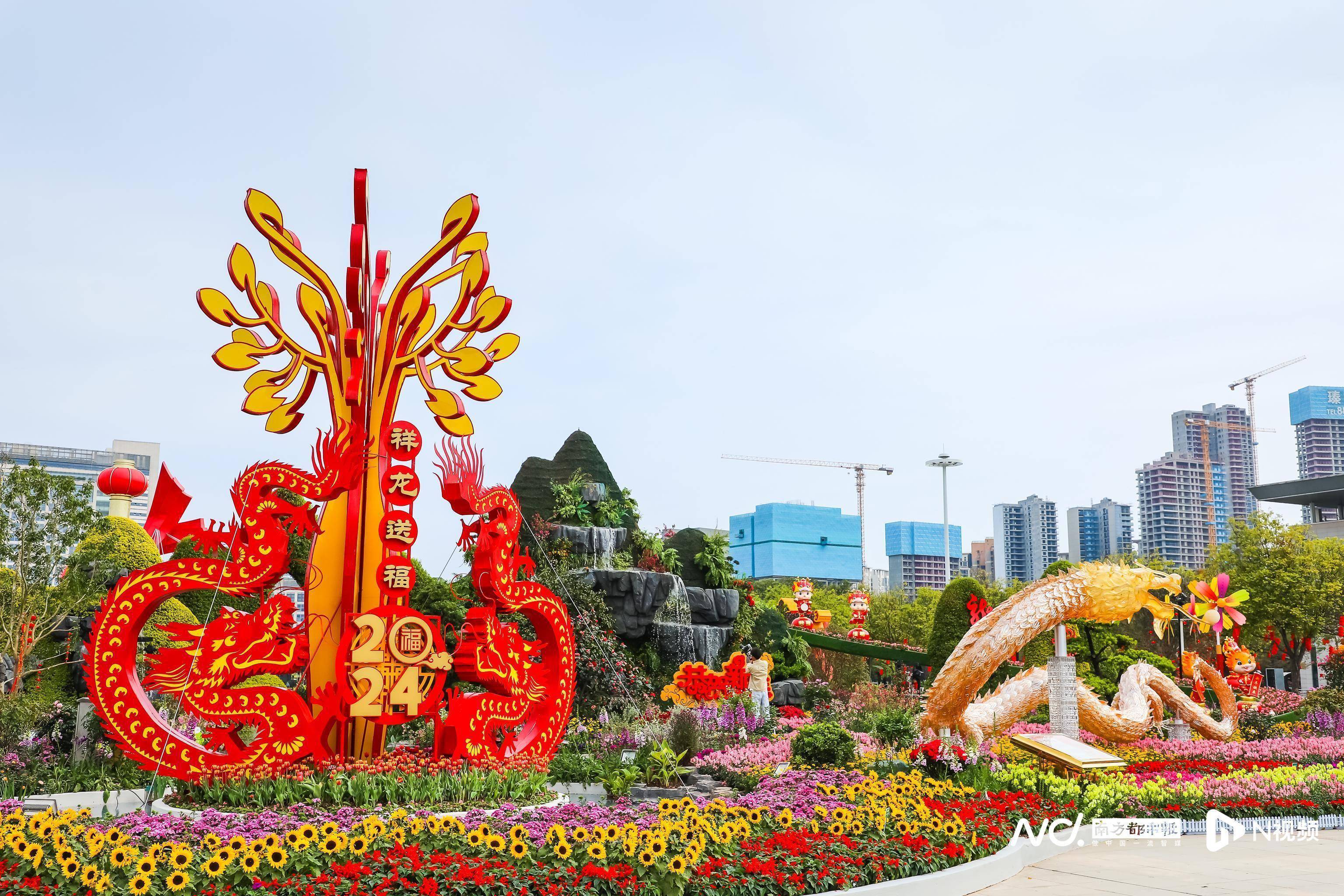 春节来这里打卡!东莞市中心广场立体花坛惊艳亮相