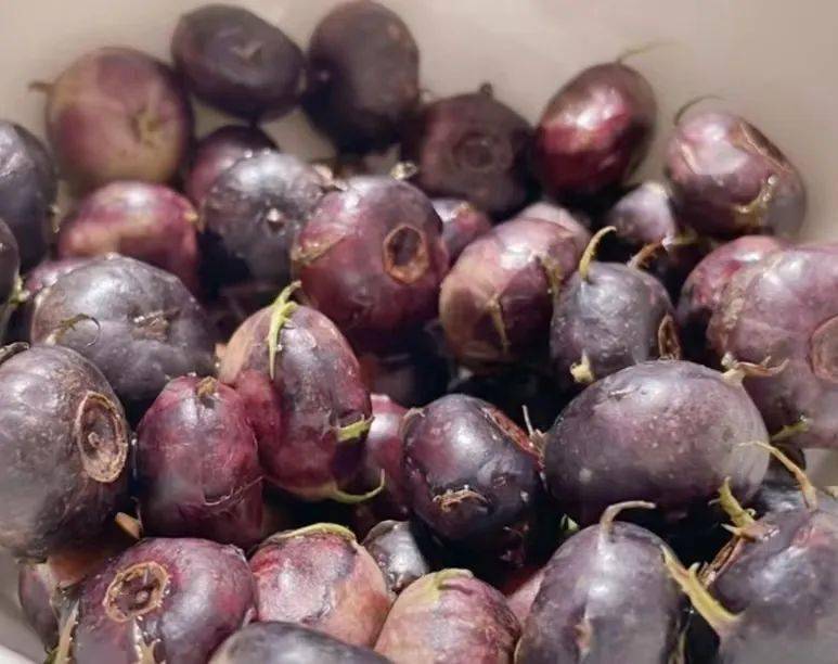 这种水果名叫红果参,因果实成熟后是红色的,而且它的