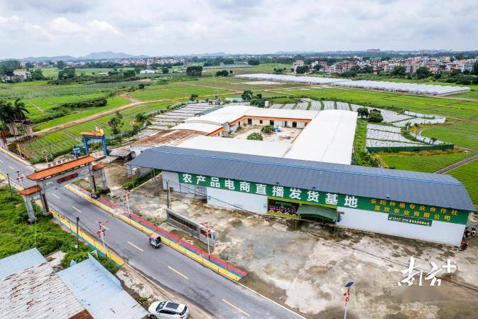 高州市沙田镇卢村村解锁宜居宜业特色乡村"幸福密码"_发展_环境_村民