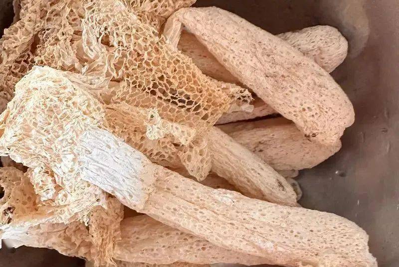 2月常吃"一条腿"的它,控三高,强免疫,味道比肉还鲜!