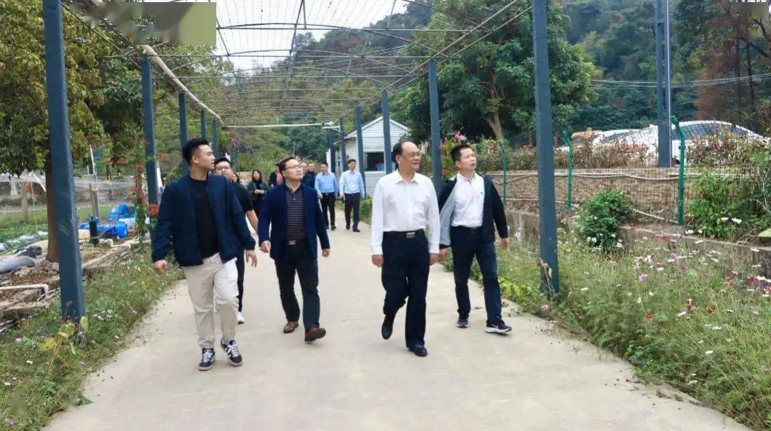 市"百千万工程"工作指导组到火炬开发区调研指导_中山