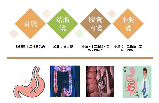 轻科普 | 都是「肠镜」,只做一个不行吗?_检查_病变_内镜