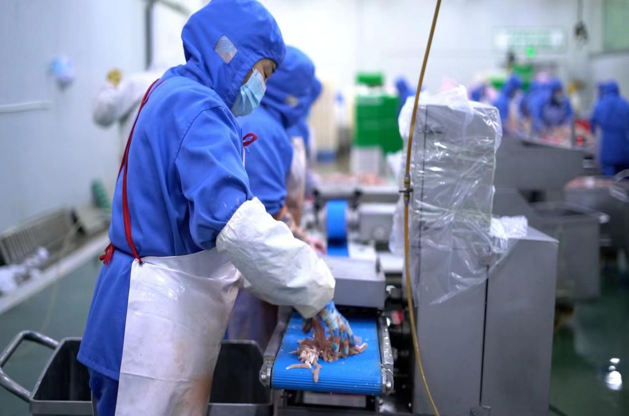 民权县:创特色畜牧品牌 筑产业发展高地_肉羊_韦海军_山羊