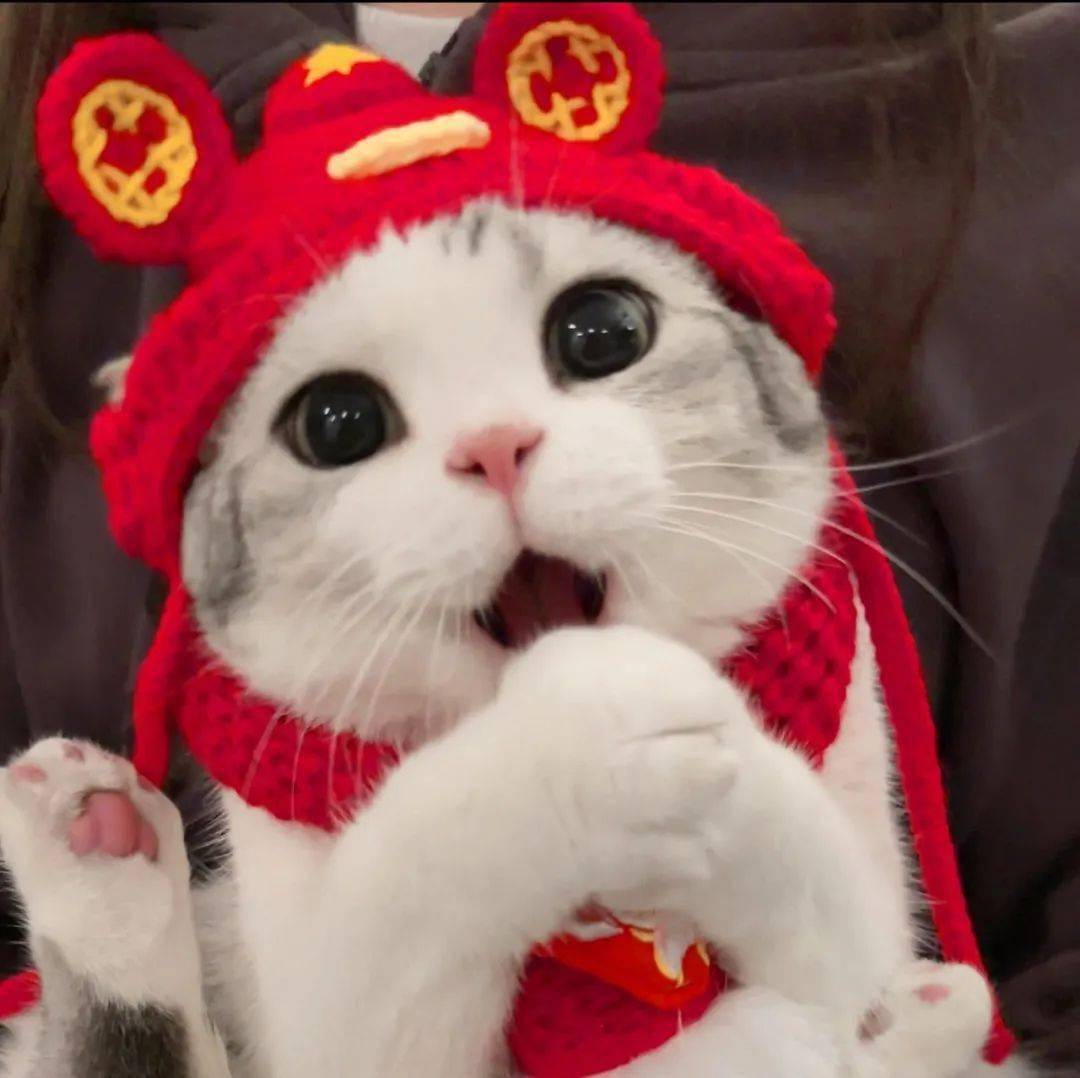 头像 | 超火爆的微信头像我这有