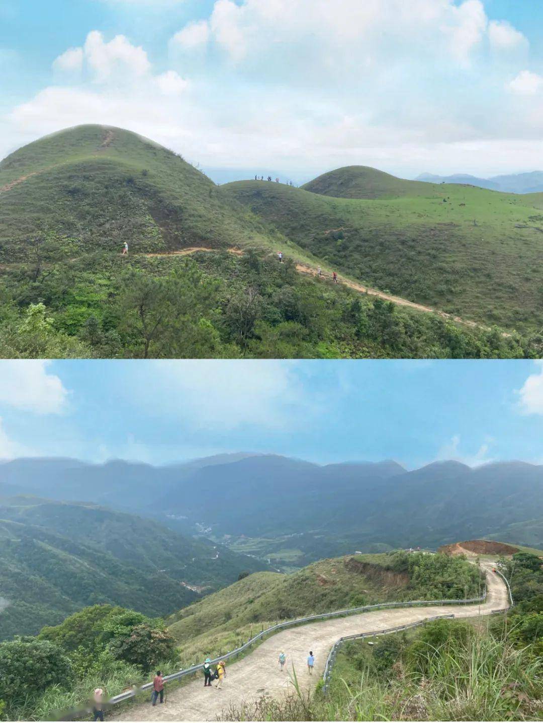 5米,雞籠頂山也是陽江第二高峰,這裡綠草如茵,景色絕美,來到這裡的