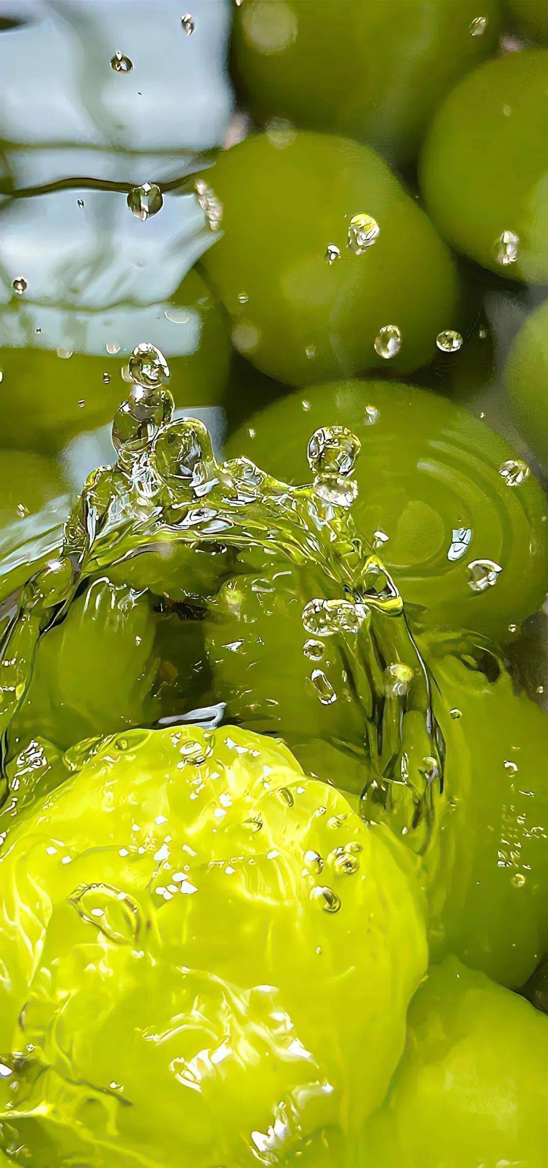 壁纸|这种风格的壁纸真的爱啦!